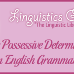 The Possessive Determiner in English Grammar