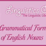 Grammatical Form of English Nouns