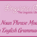 The Noun Phrase Modifier in English Grammar