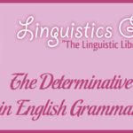 The Determinative in English Grammar