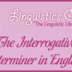 The Interrogative Determiner in English Grammar