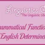 Grammatical Functions of English Determiners