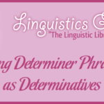 Using Determiner Phrases as Determinatives