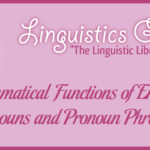 Grammatical Functions of English Pronouns and Pronoun Phrases