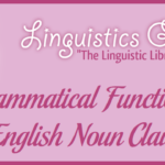 Grammatical Functions of English Noun Clauses