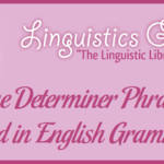 The Determiner Phrase Head in English Grammar