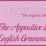 The Appositive in English Grammar
