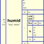 Word Matrix: Humid