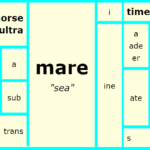 Word Matrix: Mare