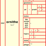 Word Matrix: Orinthe