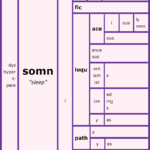 Word Matrix: Somn