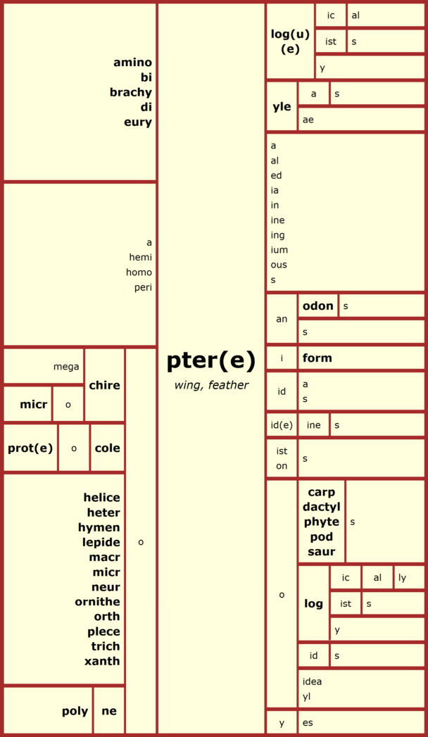 Word Matrix: Pter(e)