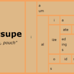 Word Matrix: Marsupe