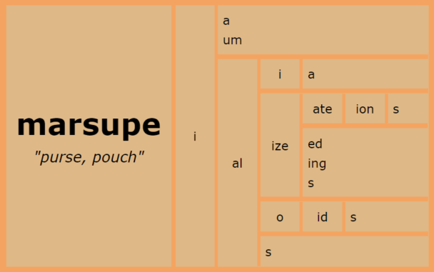 Word Matrix: Marsupe
