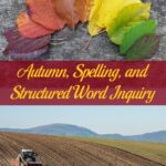 Autumn, Spelling, and Structured Word Inquiry