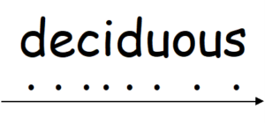 Deciduous