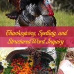 Thanksgiving, Spelling, and Structured Word Inquiry