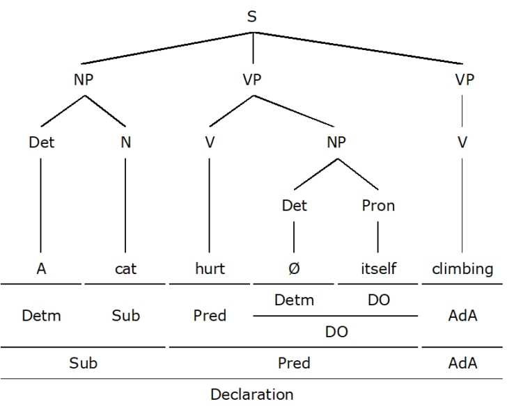The Adjunct Adverbial In English Grammar Linguisticsgirl
