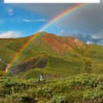 Preschool Homeschool Curriculum: Lesson Plans for Teaching Colors